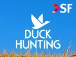 Duck Hunting TV - онлайн просмотр